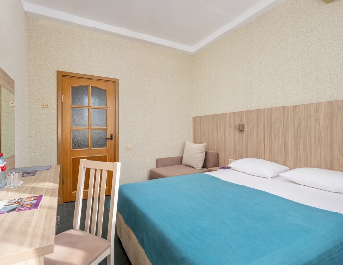 Стандартный 2-местный 1-комнатный (парк) DBL - Отель «Прометей Небуг»