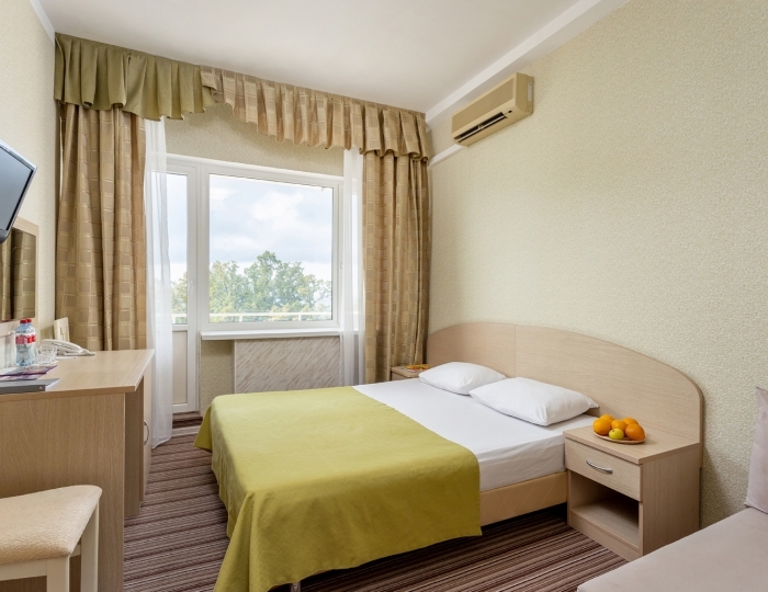 Стандартный 2-местный 1-комнатный (парк) DBL - Отель «Прометей Небуг»