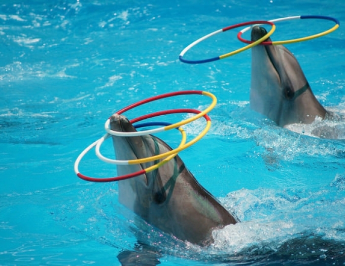 Развлечения в п.Небуг - Отель «Прометей Небуг»